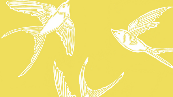 Yellow Bird Collective